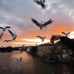 黄网站免费观看
