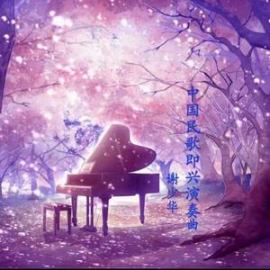 黄网站免费观看
